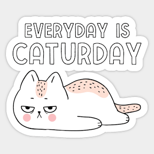 Every Day Is Caturday Sticker